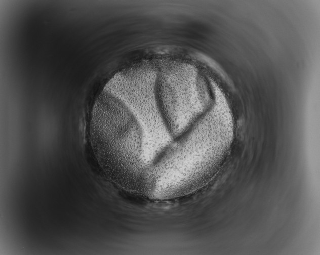 X0000087561111200705181119