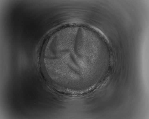 X0000087561112200705181119