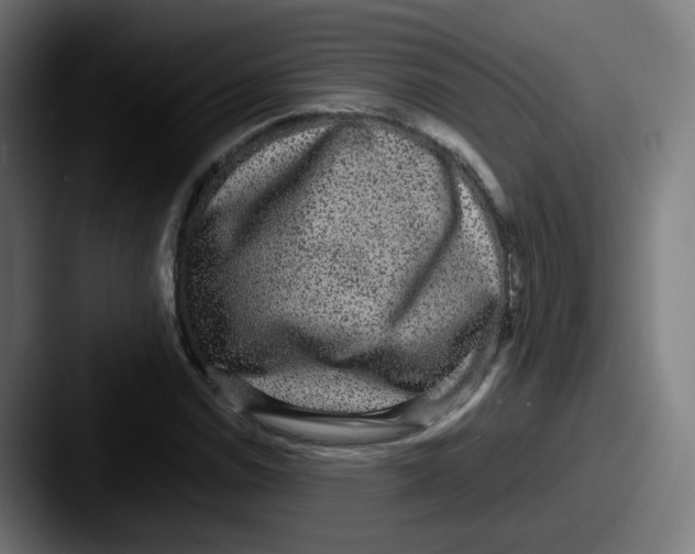 X0000087561114200705181119