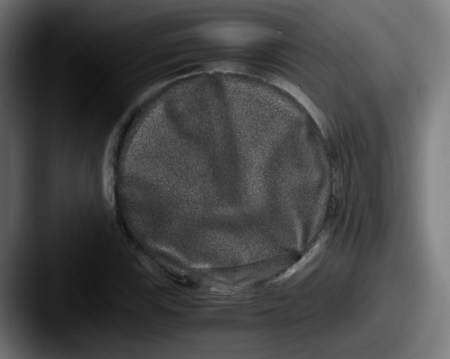 X0000087561115200705181119