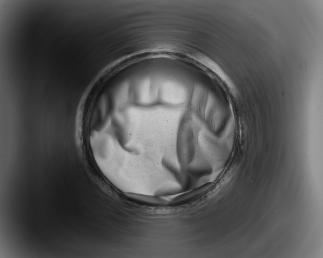 X0000087561116200705181119
