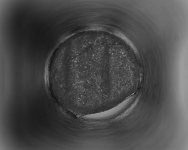 X0000087561117200705181119