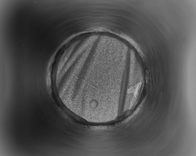 X0000087561118200705181119