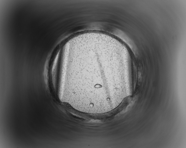 X0000087561119200705181119