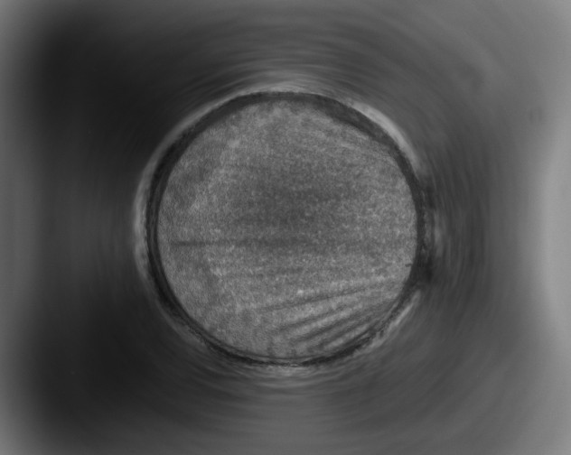 X0000087561120200705181119