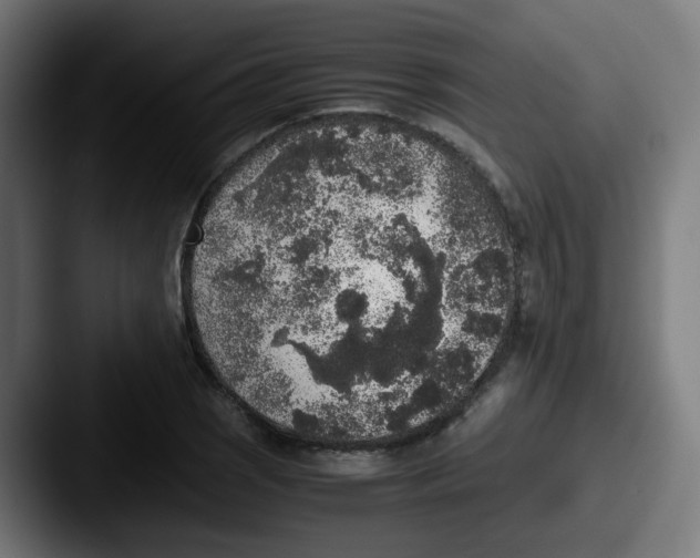X0000087561121200705181119
