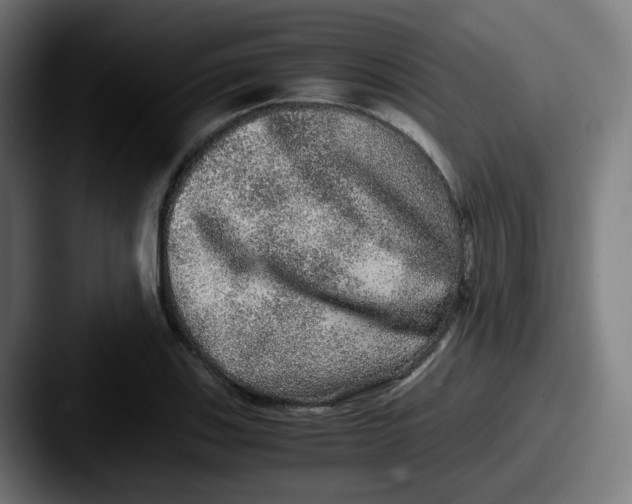 X0000087561123200705181119