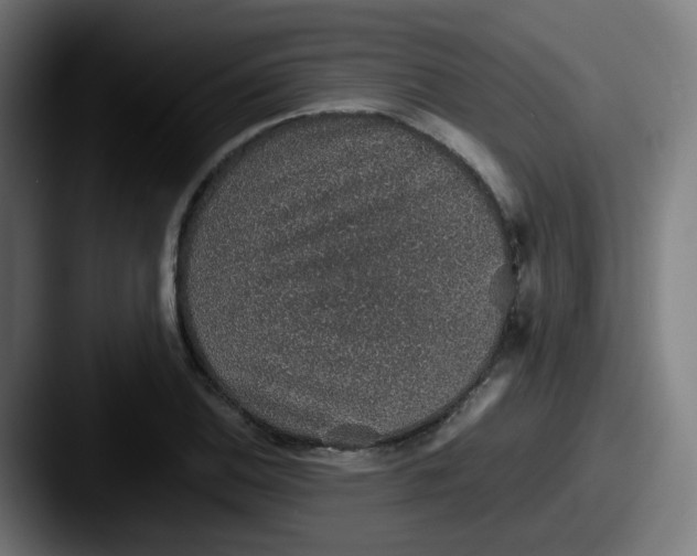 X0000087561124200705181119