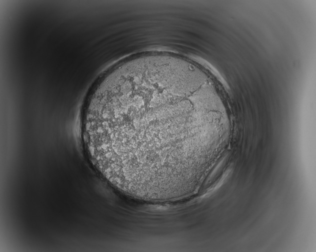 X0000087561125200705181119