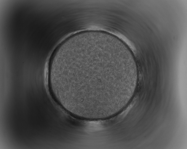 X0000087561126200705181119