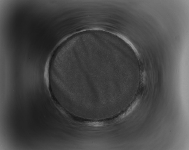 X0000087561127200705181119