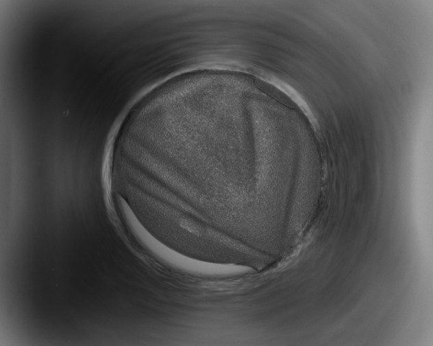 X0000087561128200705181119