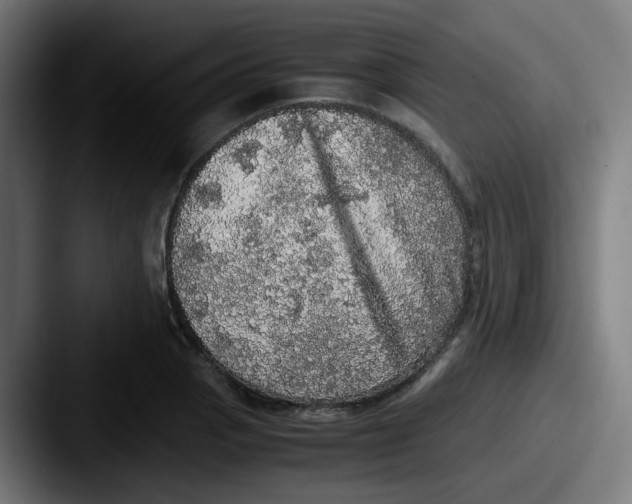 X0000087561129200705181120