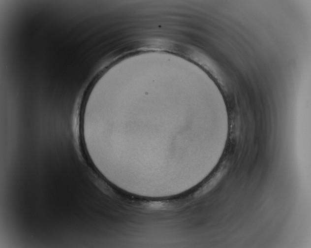 X0000087561130200705181120