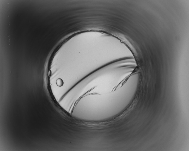 X0000087561132200705181120