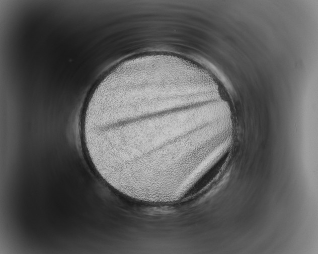 X0000087561133200705181120