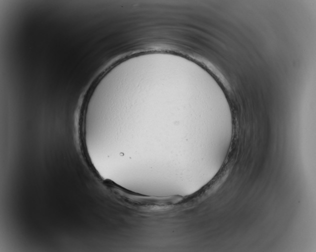 X0000087561134200705181120
