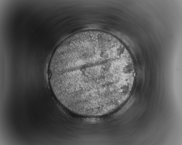 X0000087561137200705181120