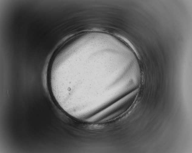 X0000087561139200705181120