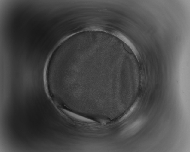 X0000087561141200705181120