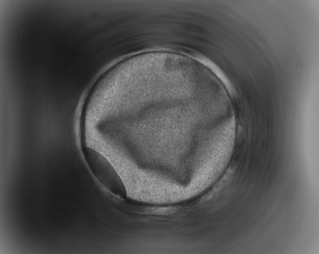 X0000087561143200705181120