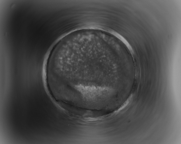 X0000087561144200705181120