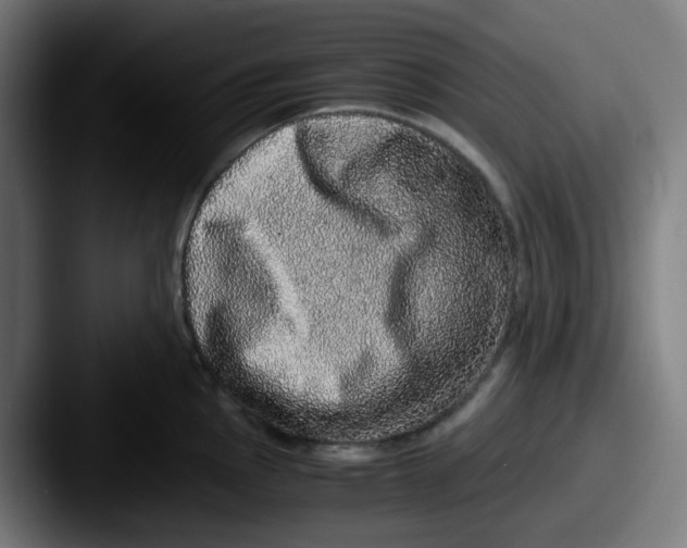 X0000087561145200705181120