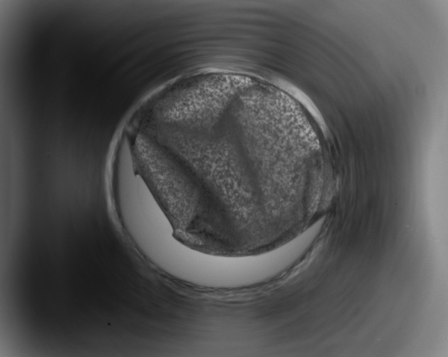 X0000087561146200705181120