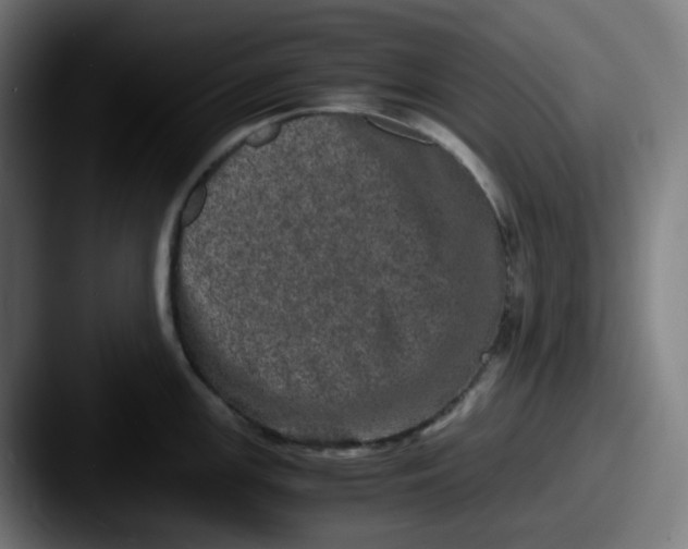 X0000087561147200705181120