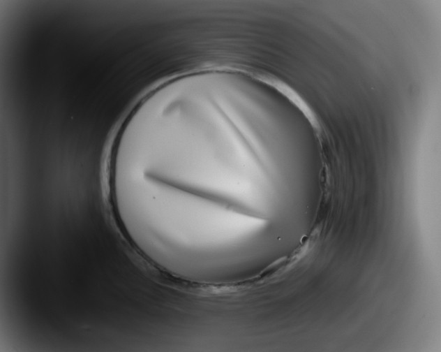 X0000087561148200705181120