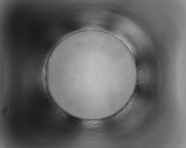 X0000087561150200705181120