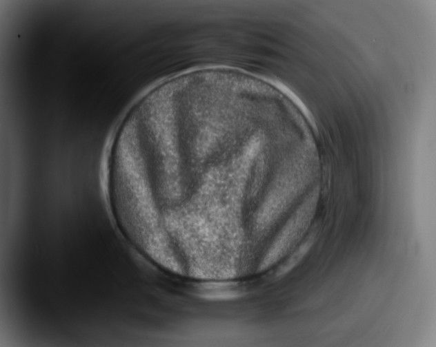 X0000087561151200705181120