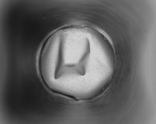X0000087561152200705181120