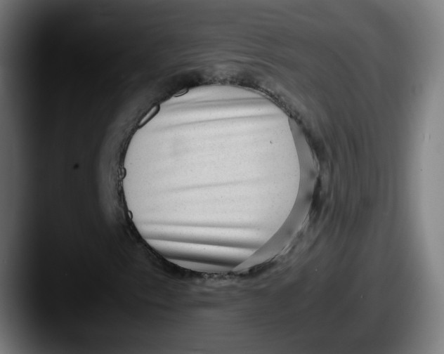 X0000087561153200705181119