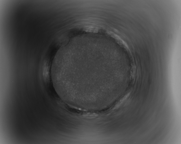 X0000087561154200705181119