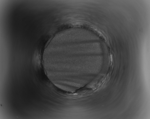 X0000087561156200705181119