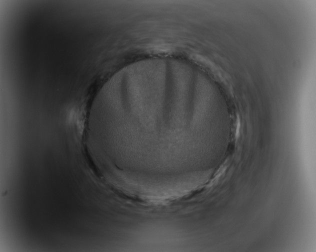 X0000087561157200705181119