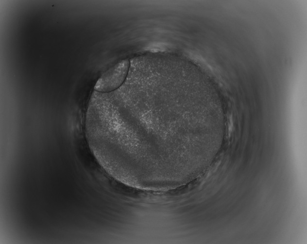 X0000087561158200705181119