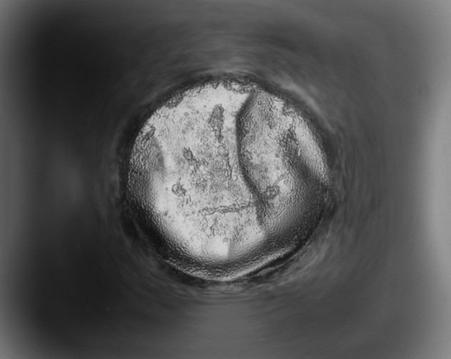 X0000087561159200705181119