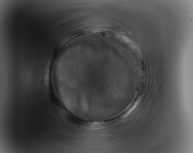 X0000087561161200705181119