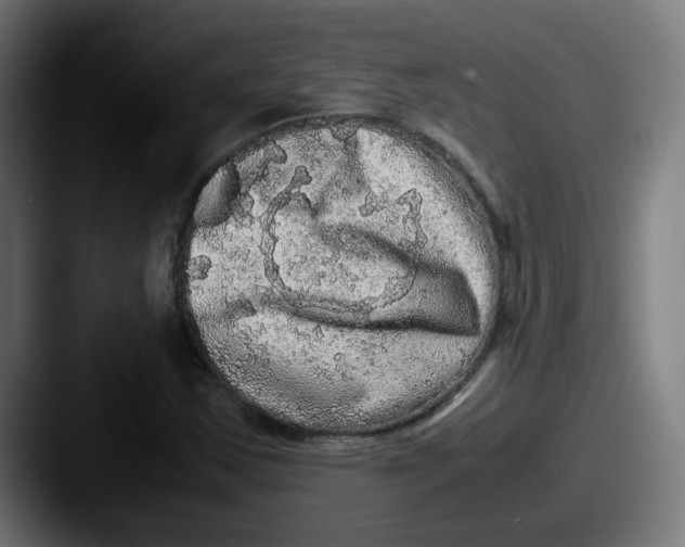 X0000087561163200705181119