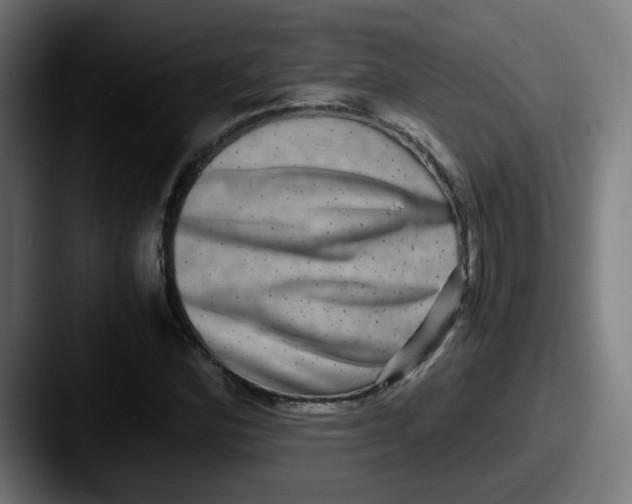 X0000087561164200705181119