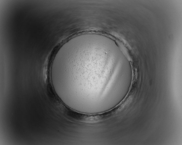 X0000087561165200705181119