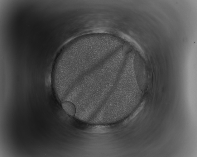 X0000087561166200705181119