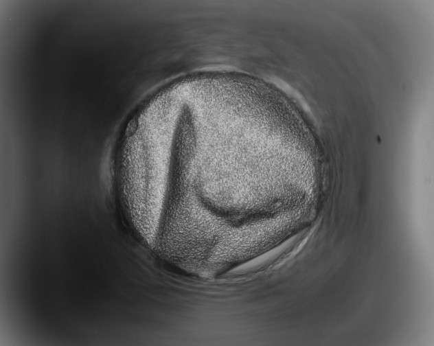 X0000087561167200705181119