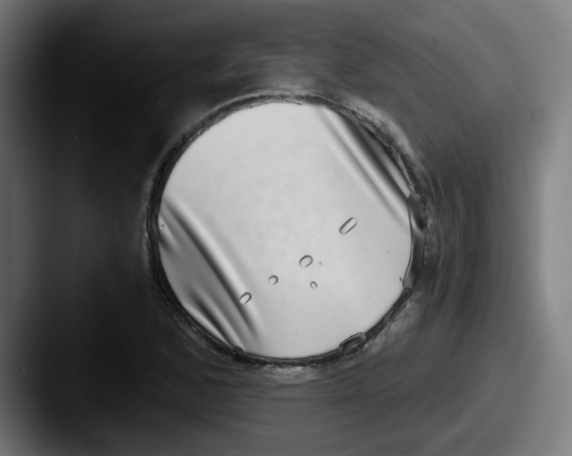 X0000087561168200705181119