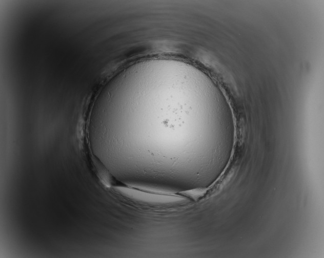 X0000087561169200705181119