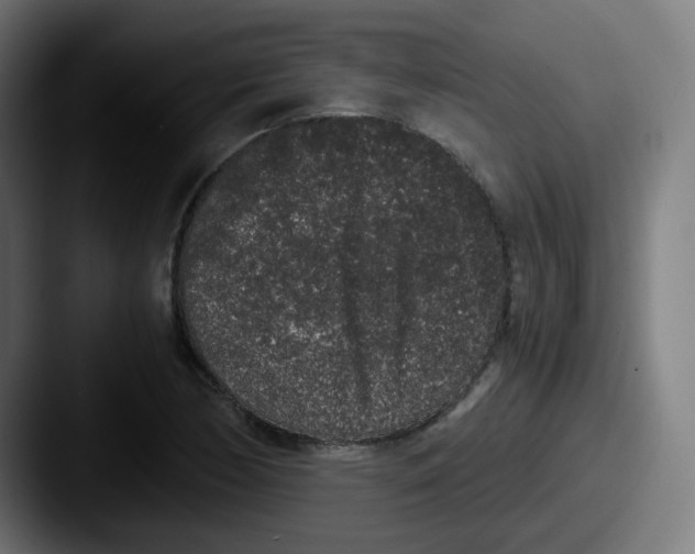 X0000087561170200705181119