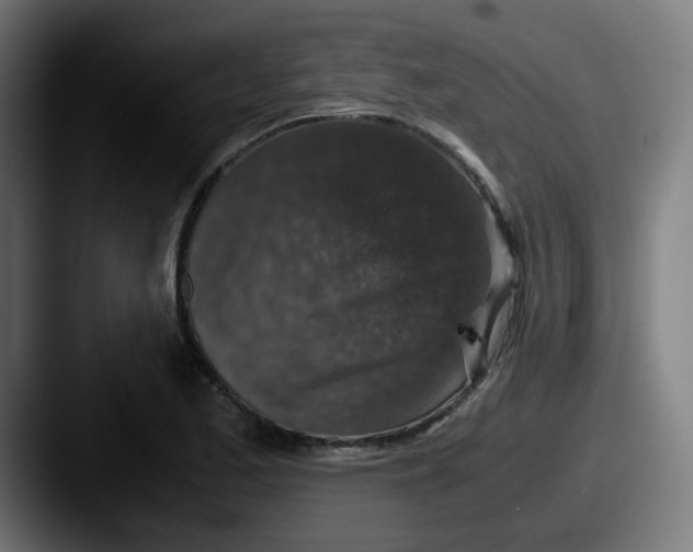 X0000087561173200705181119