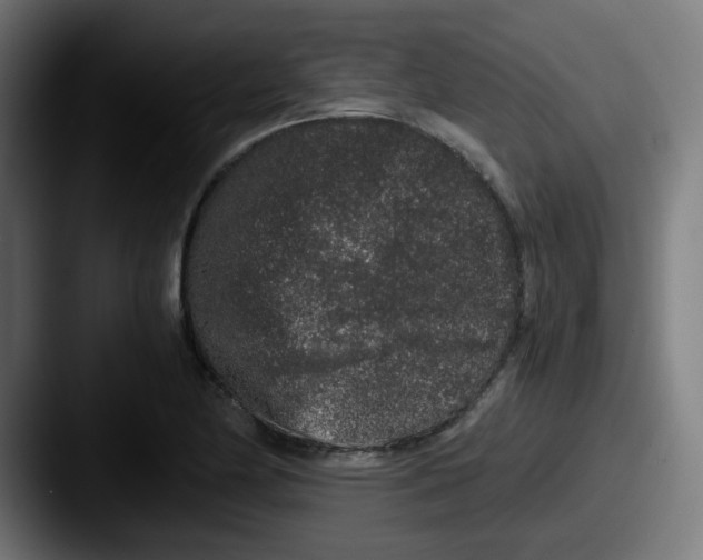 X0000087561174200705181119